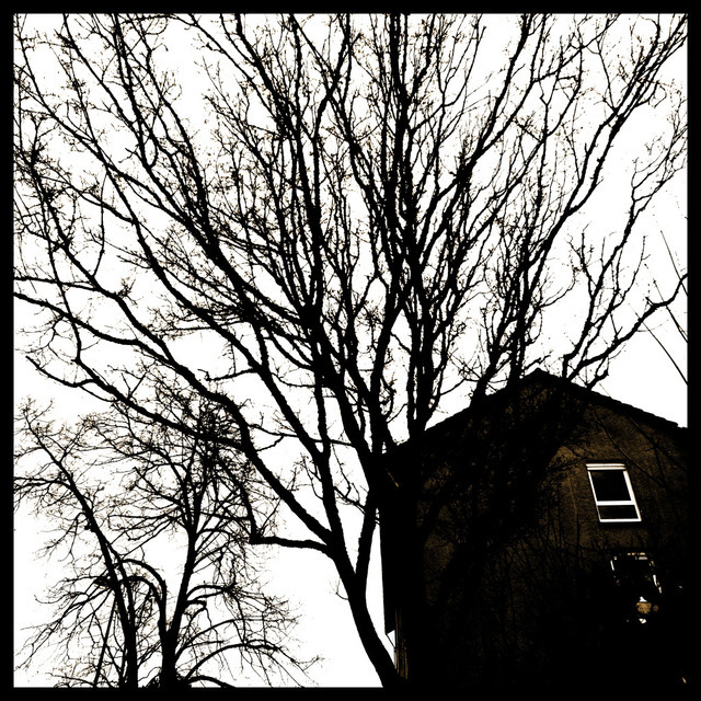 Rear Window - ID 001022