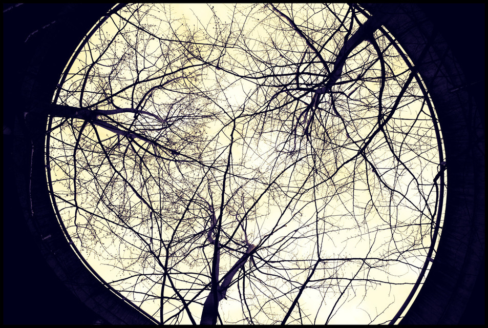 Not a Circle - ID 001032