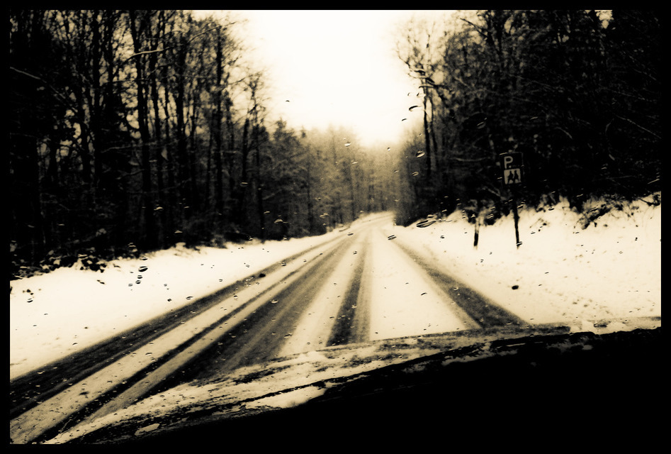 Winter Forest Drive II - ID 001055