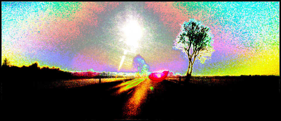 Winter Sun - ID 001063