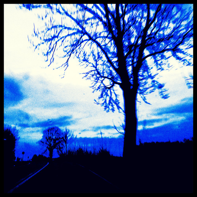 Winter Blue - ID 001064