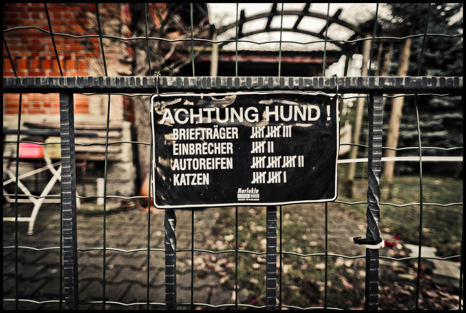 Beware of Dog - ID 001102