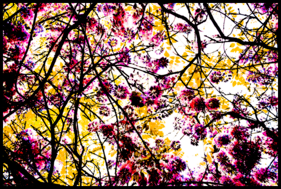 Silhouette - ID 001173