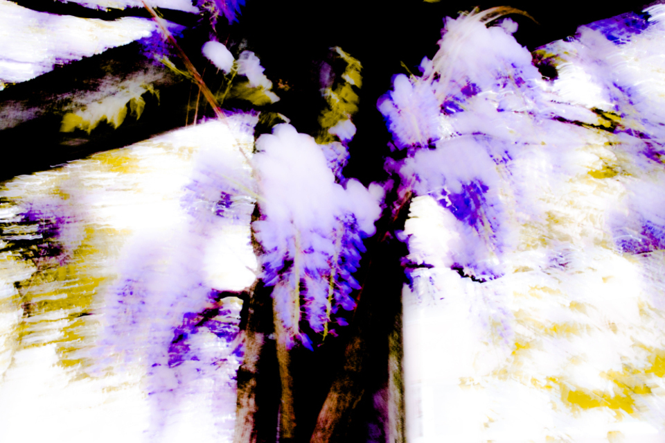 Power of Nature - ID 001178