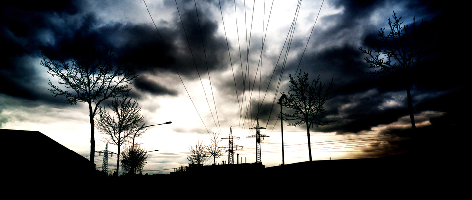 Wood and Metal Trees - ID 001185