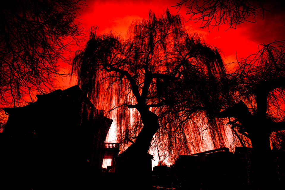 Gone with the Wind - ID 001207