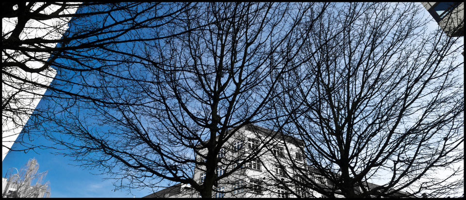 Black and Blue - ID 001209