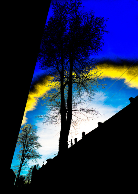 Ring of Fire - ID 001215