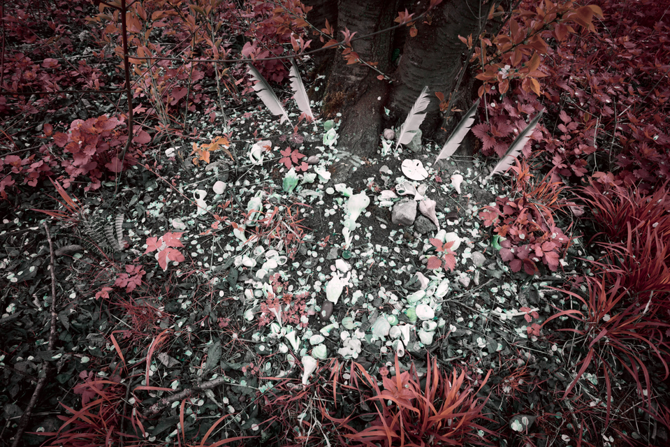 Indianer - ID 001226