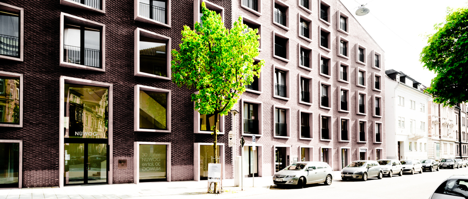 Street Tree - ID 001233