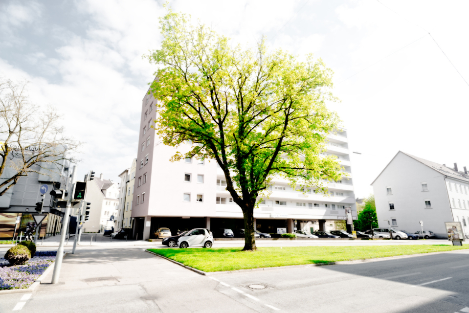 Fresh Green - ID 001236