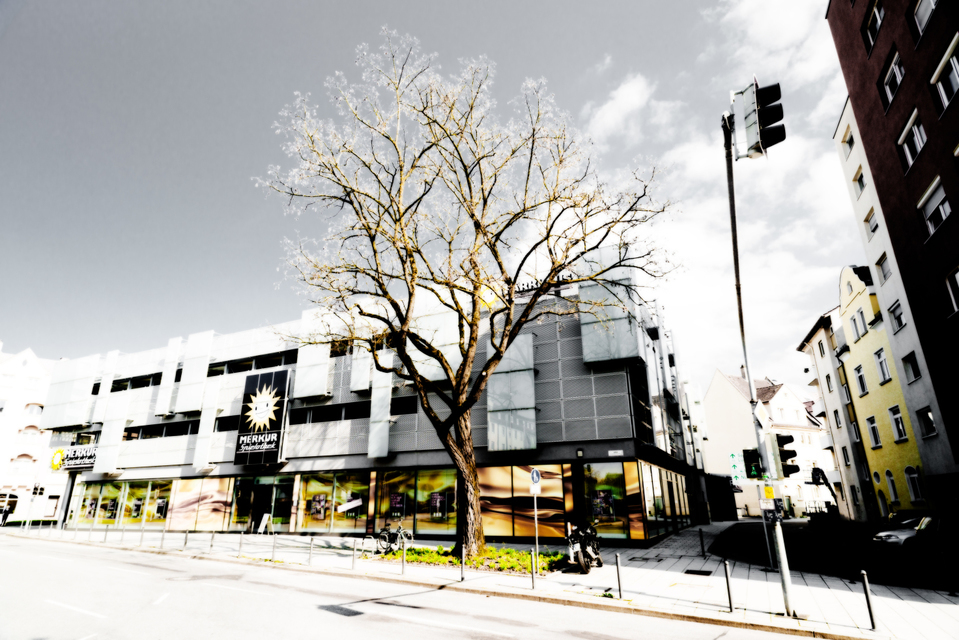 No Fresh Green - ID 001237