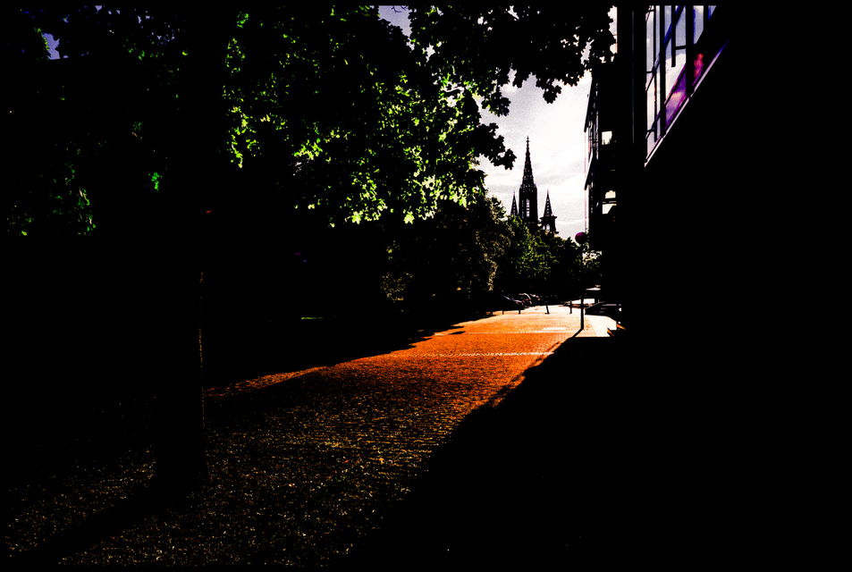 Evening Light - ID 001266