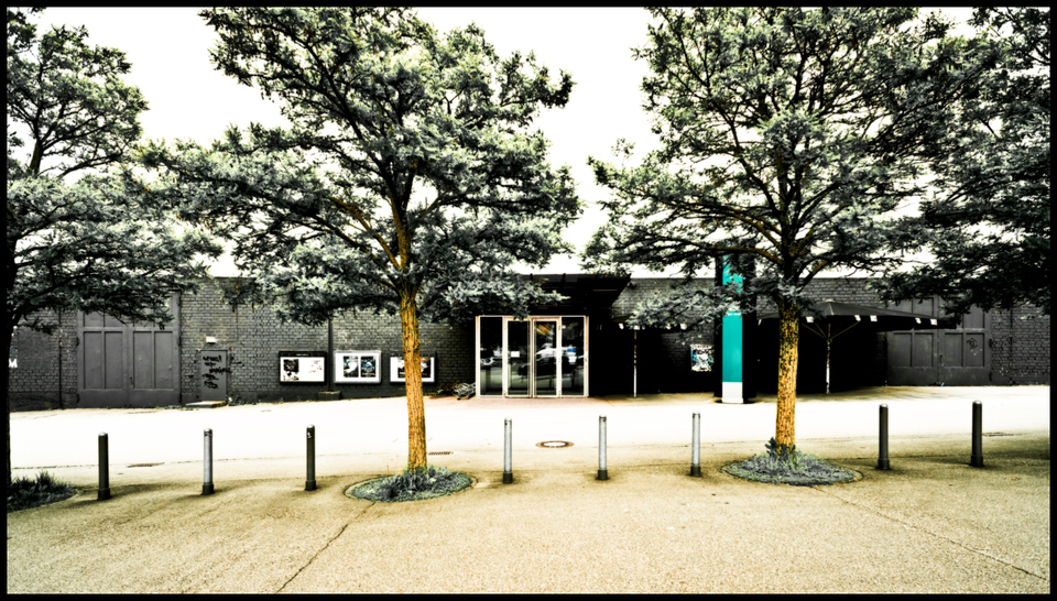 Trees in Front - ID 001283