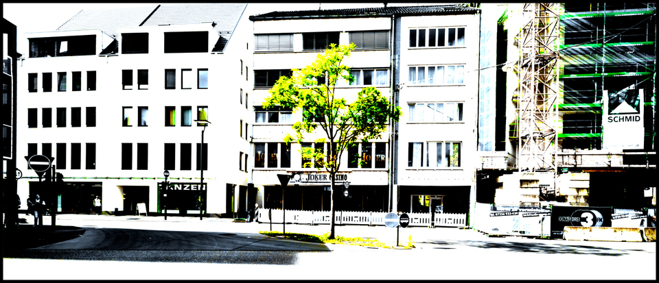 Lonely Tree I - ID 001301