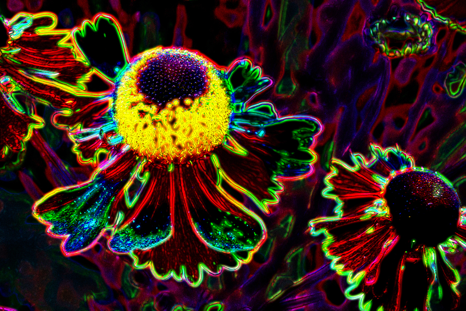 Glas Paintings - ID 001367