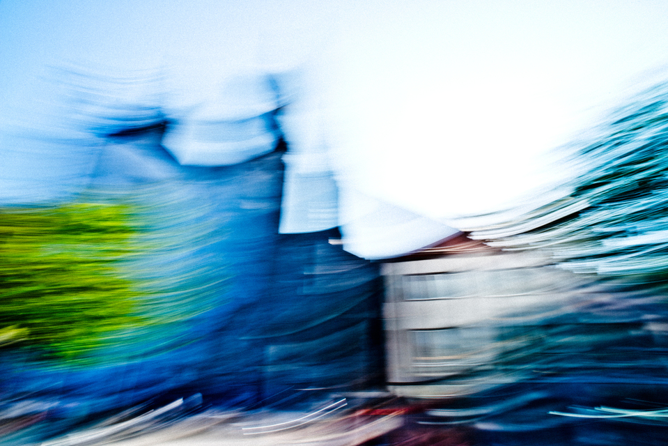 Tree Minster House - ID 001431