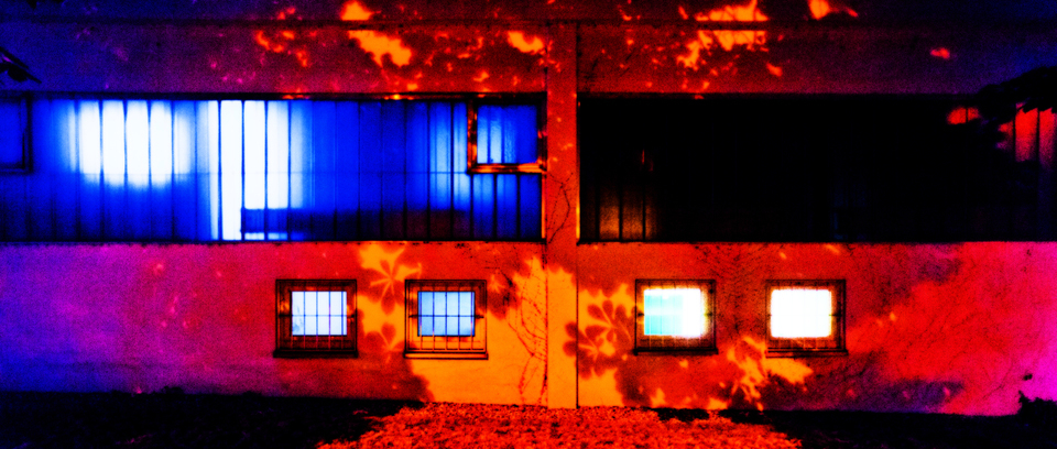 Night Colors I - ID 001442