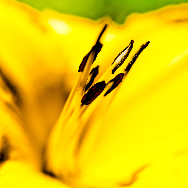 The Center - ID 001463