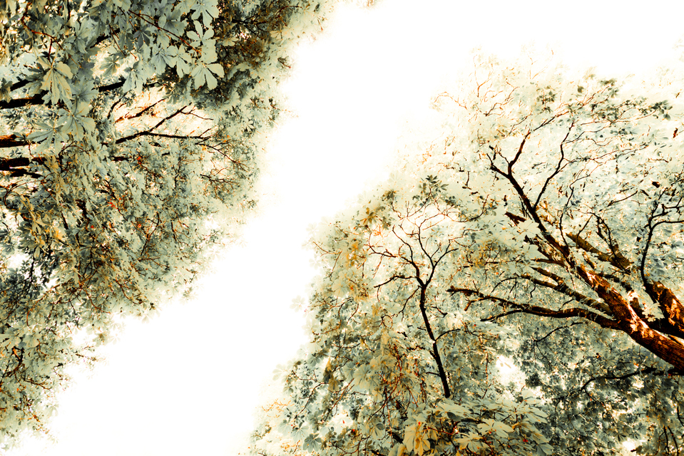 Separation - ID 001467