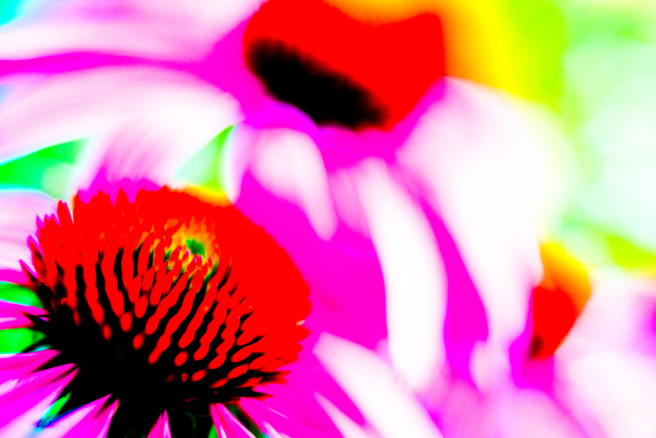 Full Color - ID 001471