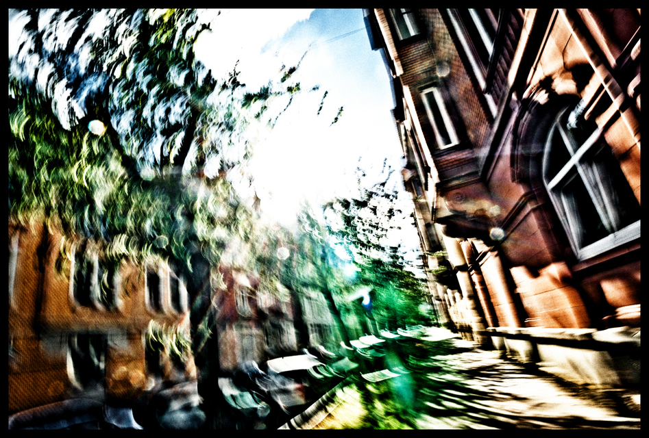 Sunday Walk - ID 001484