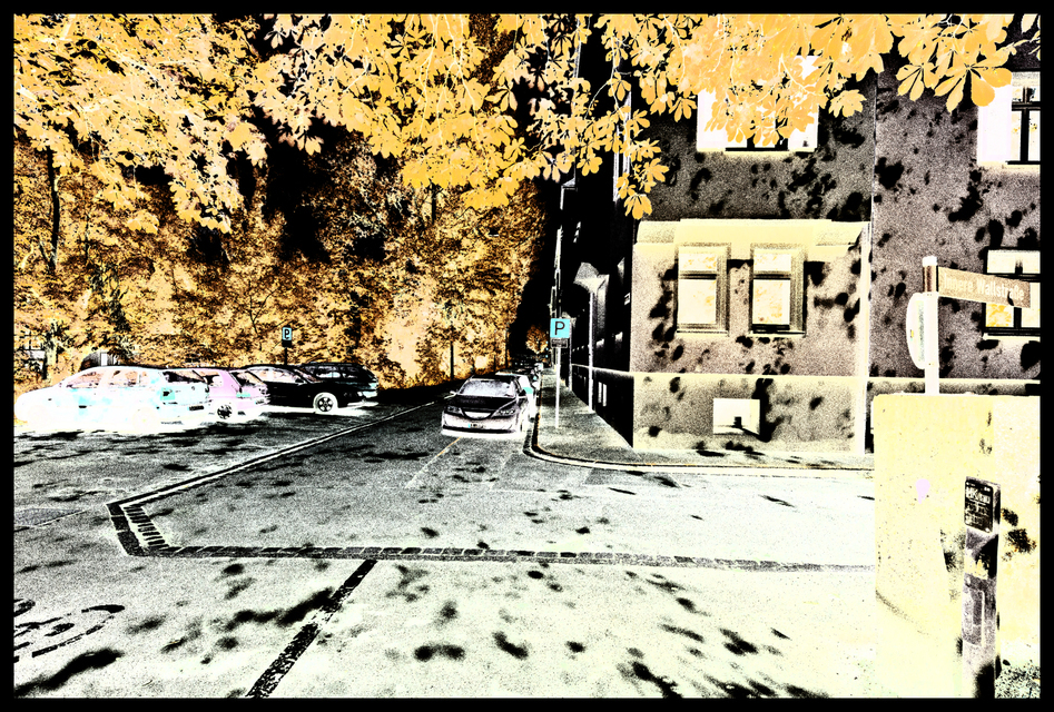 Under Tree - ID 001511