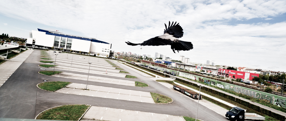 Eagle over Berlin - ID 001856