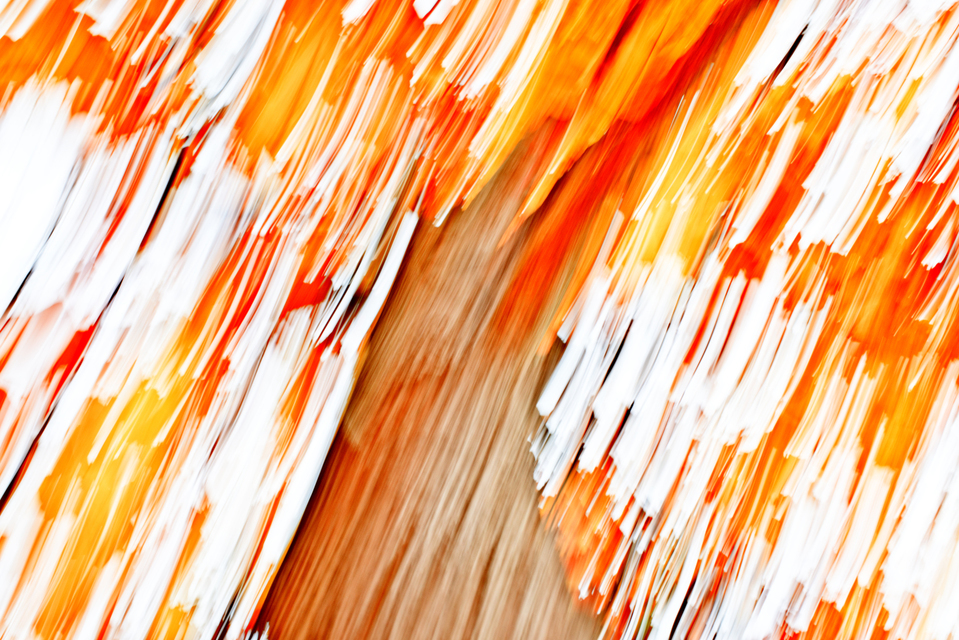 Dancing Tree I - ID 001931