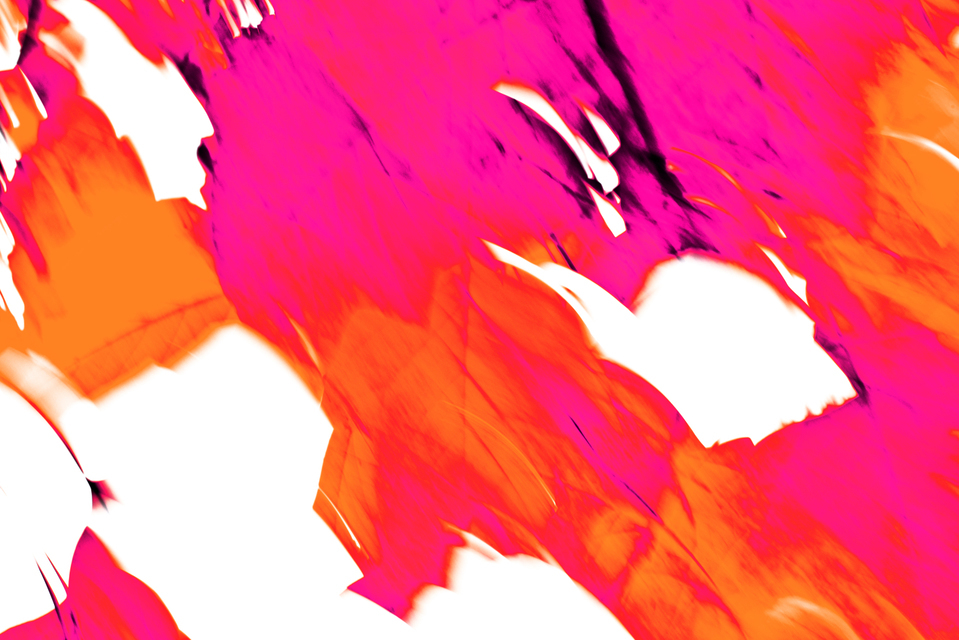 Pop Tree - ID 001935