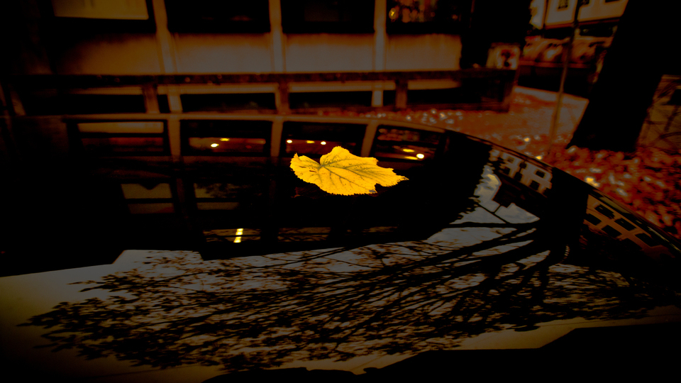 Yellow Leaf - ID 001957