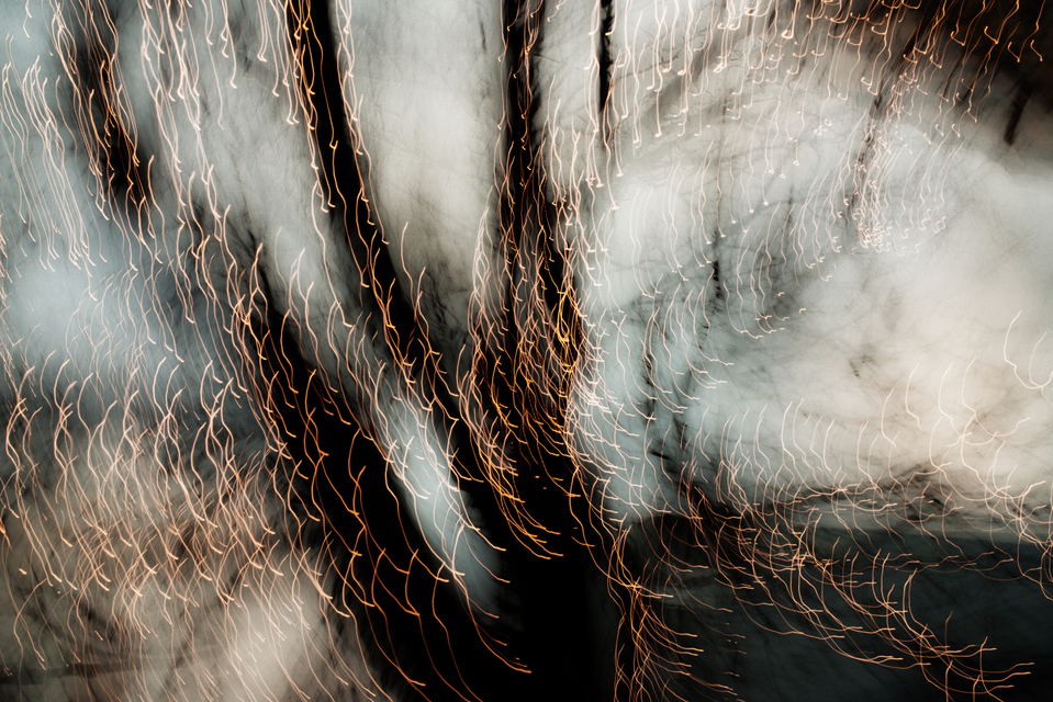 Dancing Lights III - ID 002014