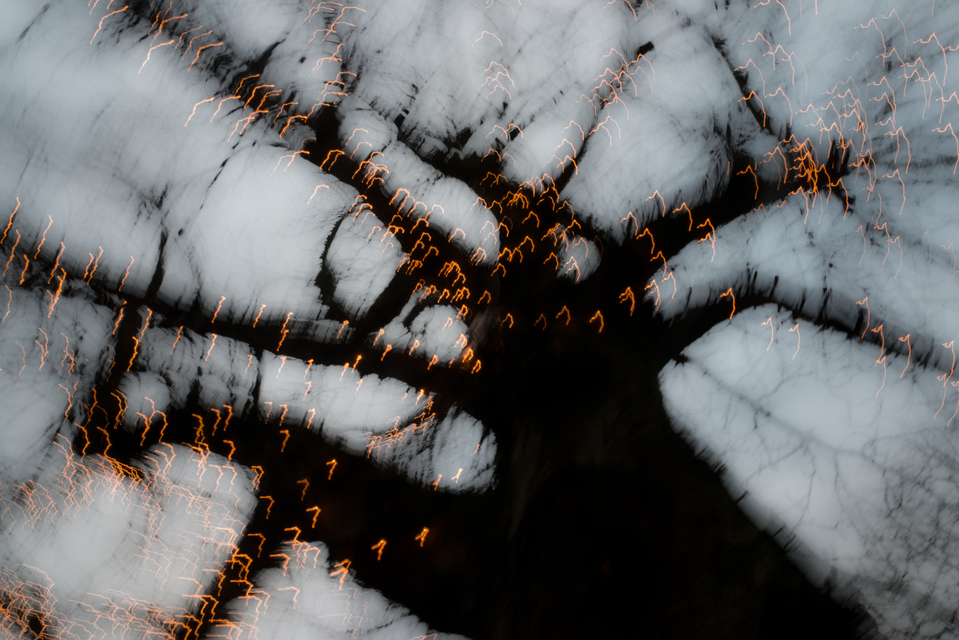 Dancing Lights V - ID 002016