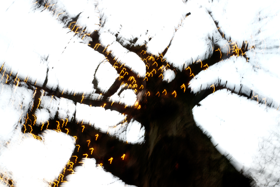 Dancing Lights VII - ID 002018