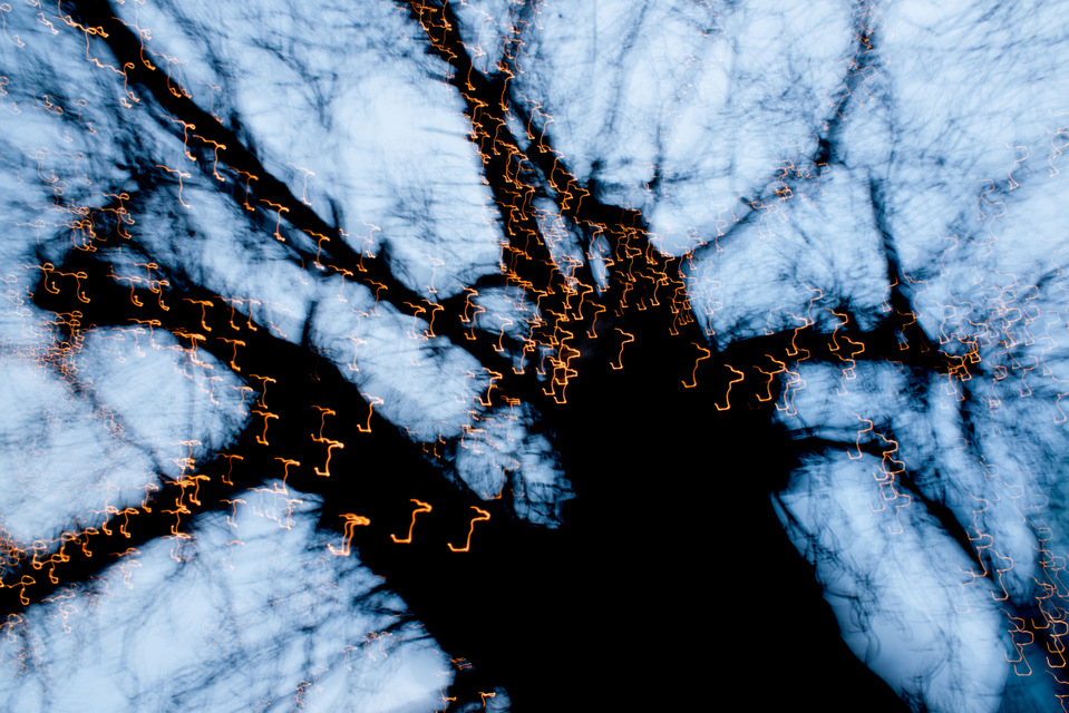 Dancing Lights VIII - ID 002019