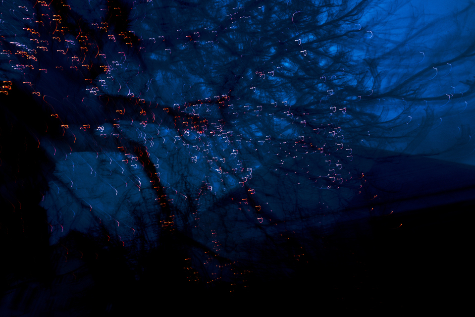 Dancing Lights X - ID 002021