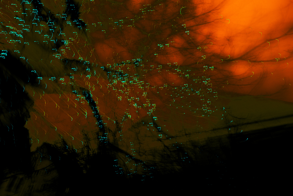 Dancing Lights XI - ID 002022