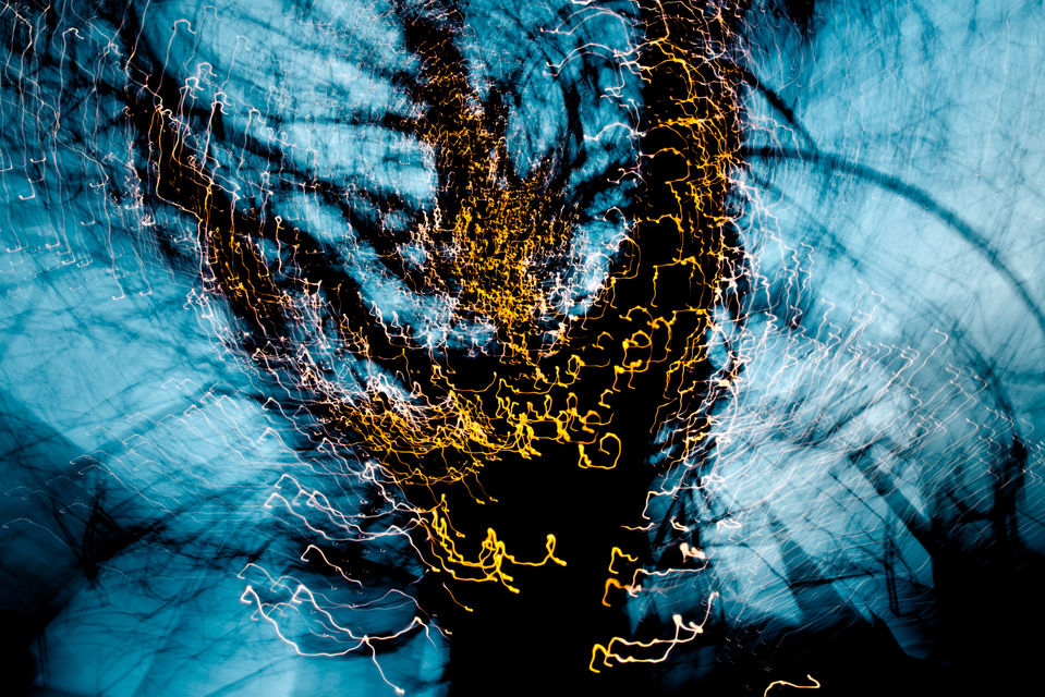 Dancing Lights XIII - ID 002024