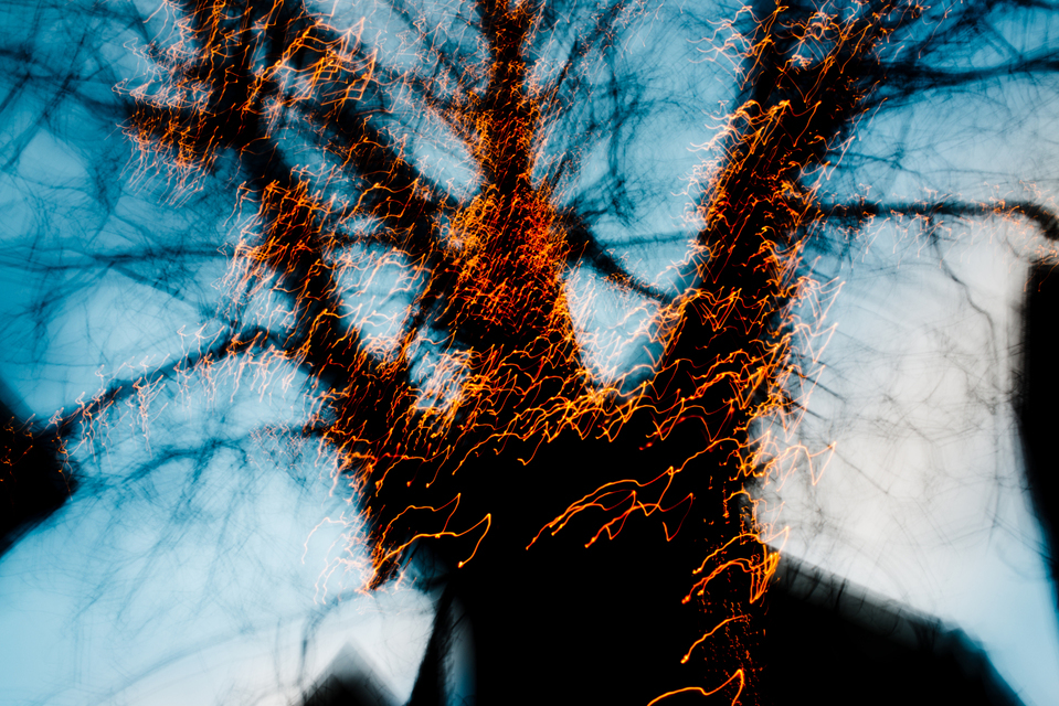 Dancing Lights XIV - ID 002025