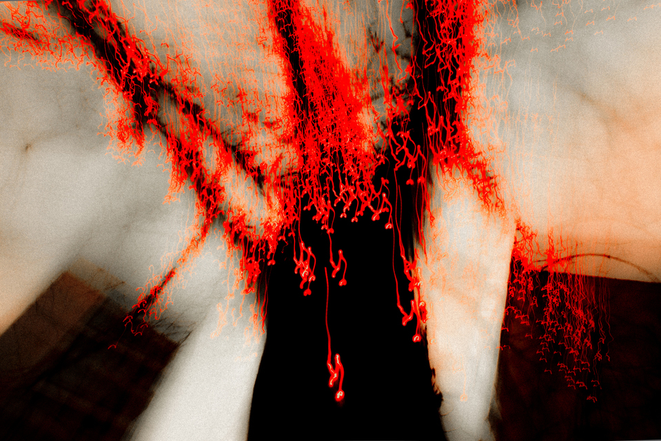 Dancing Lights XVII - ID 002028