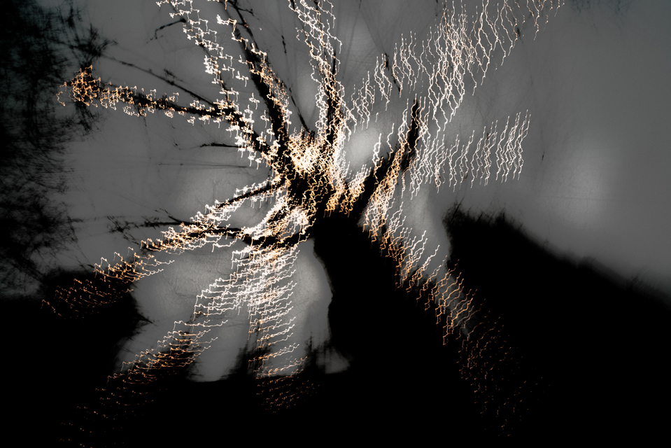 Dancing Lights XXII - ID 002033