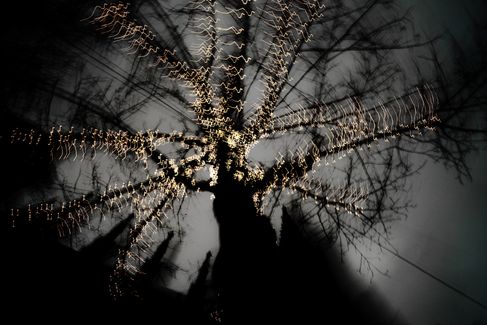 Dancing Lights XXIII - ID 002034