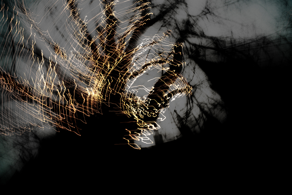 Dancing Lights XXV - ID 002036