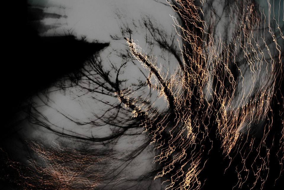 Dancing Lights XXVI - ID 002037