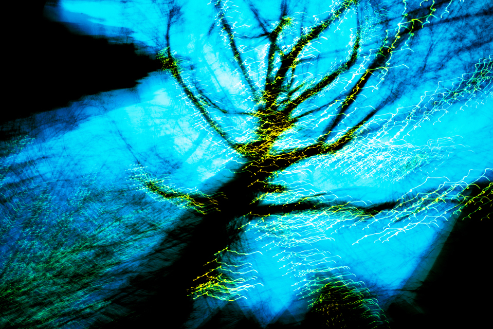 Dancing Lights XXX - ID 002041