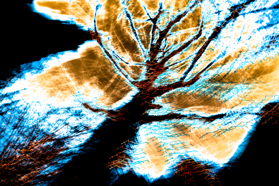 Dancing Lights XXXI - ID 002042