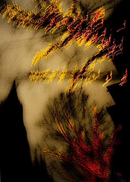 Dancing Lights XXXIV - ID 002045