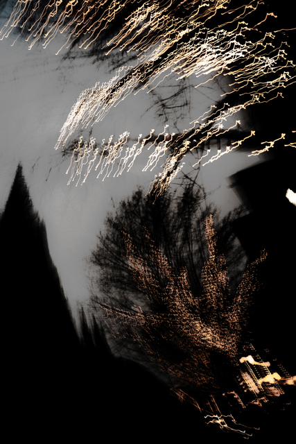 Dancing Lights XXXV - ID 002046