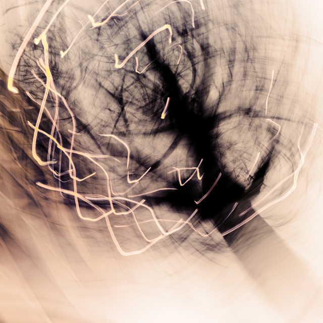 Tree Dance I - ID 002127