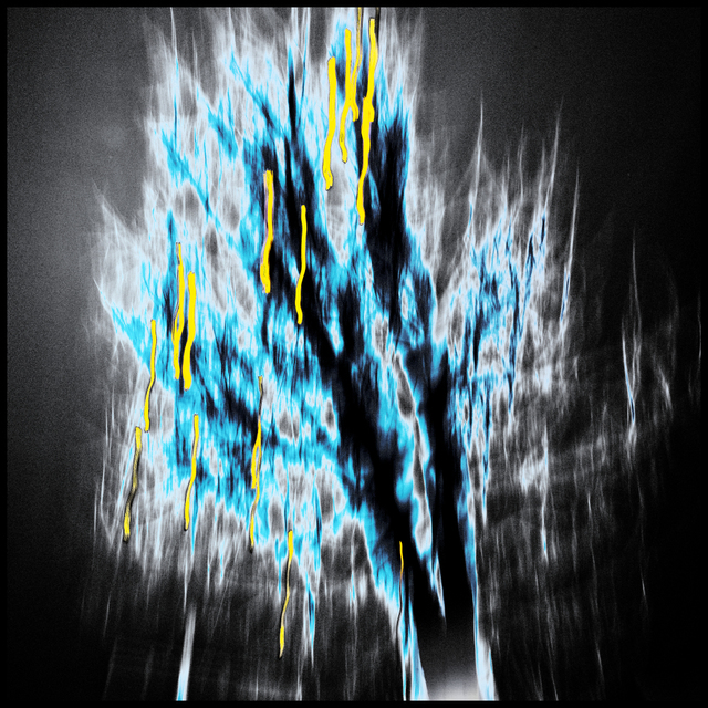 Yellow Lights on Blue Tree - ID 002130
